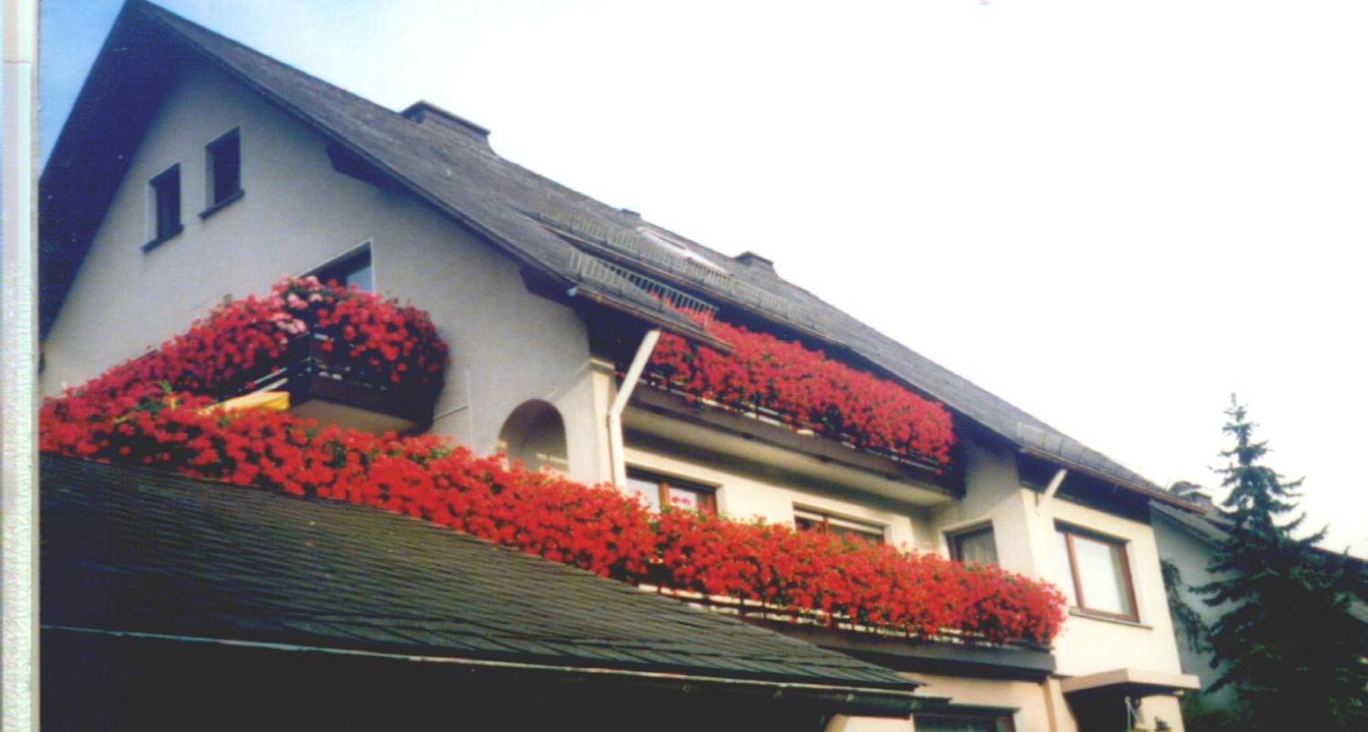 Haus Hubertus Hotel Winterberg Exterior foto
